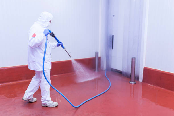 Best Graffiti Removal  in Finneytown, OH